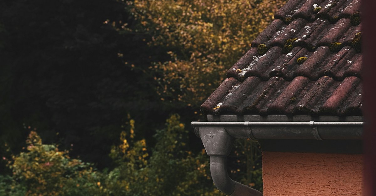 Tiled roof edge and eavestrough beside autumn trees